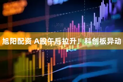 旭阳配资 A股午后拉升！科创板异动