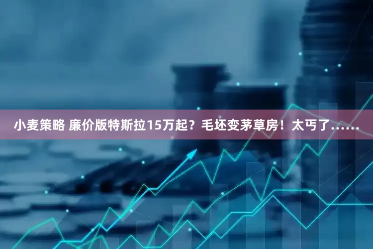 小麦策略 廉价版特斯拉15万起？毛坯变茅草房！太丐了……