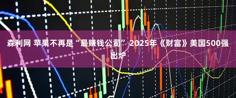 森利网 苹果不再是“最赚钱公司” 2025年《财富》美国500强出炉